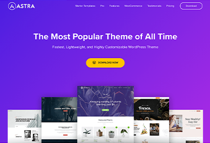 astra-pricing-theme-screenshot astra-pricing-theme-screenshot